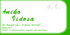 aniko vidosa business card